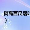 树高百尺落叶叶落归根是什么意思（树高百尺）