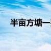 半亩方塘一鉴开全诗（半亩方塘一鉴开）