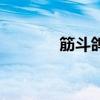 筋斗鸽多少钱一只（筋斗鸽）