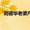 刘德华老婆产下一子（刘德华老婆怀二胎）
