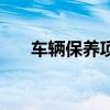 车辆保养项目明细表（车辆保养项目）