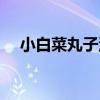 小白菜丸子汤多久能熟（小白菜丸子汤）