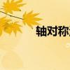 轴对称汉字大全（轴对称汉字）