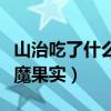 山治吃了什么恶魔果实图片（山治吃了什么恶魔果实）