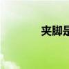 夹脚是什么形状（女夹脚式）