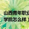 山西青年职业学院怎么样贴吧（山西青年职业学院怎么样）
