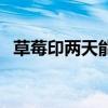 草莓印两天能消吗（草莓印一晚上能消吗）