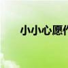 小小心愿作文800字（小小心愿作文）