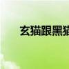 玄猫跟黑猫的区别（玄猫和黑猫区别）