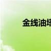 金线油塔蒸多长时间（金线油塔）