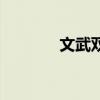 文武双全的名人（文武双全）