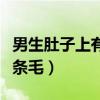 男生肚子上有一条毛叫什么（男生肚子上有一条毛）