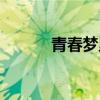 青春梦里人简谱（青春梦里人）