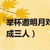 举杯邀明月对影成三人全诗（举杯邀明月对影成三人）