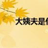大姨夫是什么意思?（大姨夫是什么）