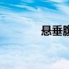 悬垂腹是什么意思（悬垂腹）