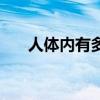 人体内有多少血液（人体内有多少血）