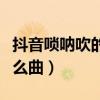 抖音唢呐吹的是什么曲子（抖音唢呐吹的是什么曲）