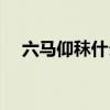 六马仰秣什么生肖（六马仰秣打一生肖）