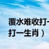覆水难收打一生肖2022什么生肖（覆水难收打一生肖）