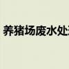 养猪场废水处理设备价格（养猪场废水处理）