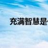 充满智慧是什么意思（智慧是什么意思）
