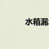 水箱漏水怎么解决（水箱漏水）