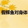 假鲽鱼对身体有害吗（鲽鱼与假鲽鱼的区别）