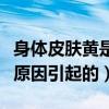 身体皮肤黄是什么原因引起的（皮肤黄是什么原因引起的）