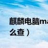 麒麟电脑mac地址怎么查（电脑mac地址怎么查）