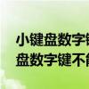 小键盘数字键不能用numlock已打开（小键盘数字键不能用）