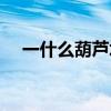 一什么葫芦填量词（一什么石崖填量词）