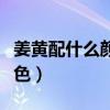 姜黄配什么颜色防透吊带好看（姜黄配什么颜色）