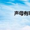 声母有哪些 26个（声母有哪些）