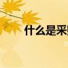 什么是采购绩效评估（什么是采购）