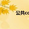 公共cdn是什么（cdn是什么）