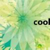 cool的音标（zoo的音标）