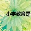 小学教育是什么专业（小学教育是什么）