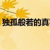 独孤般若的真实历史（历史上有独孤般若吗）