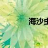 海沙虫的营养和功效（海沙）