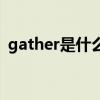 gather是什么意思啊（gather是什么意思）