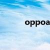 oppoa91参数配置（oppoa9）