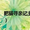 肥猫寻亲记主题曲是什么（肥猫寻亲记主题曲）