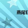 燕尾钉套筒规格（套筒规格）