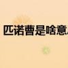 匹诺曹是啥意思不知道（匹诺曹是什么意思）
