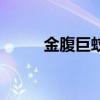 金腹巨蚊吃蚊子视频（金腹巨蚊）