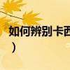 如何辨别卡西欧真假表（如何辨别卡西欧真假）