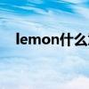 lemon什么意思中文（lemon什么意思）