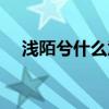浅陌兮什么意思（浅陌离殇是什么意思）