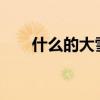什么的大雪?（什么的大雪填空词语）
